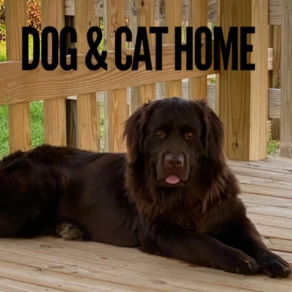 Vintage Spiegel Cropped Blazer Brown Tweed 6 - Picture 10 of 13